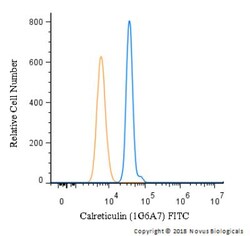 Calreticulin Antibody (1G6A7), FITC, Novus Biologicals 0.1mL; FITC:Antibodies,